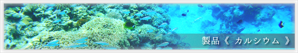 製品《カルシウム》