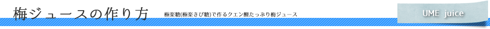 梅ジュースの作り方