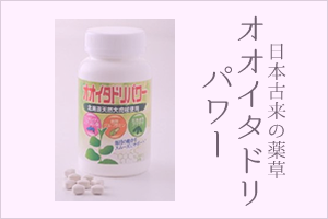 日本古来の薬草　オオイタドリパワー