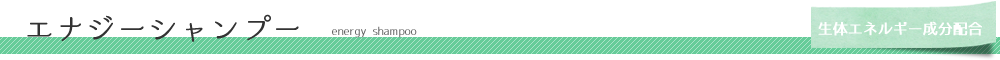 エナジーシャンプー